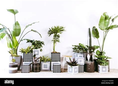 Image result for Creative Flower Pots