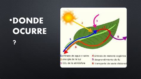 Image result for Codices Mixtecos