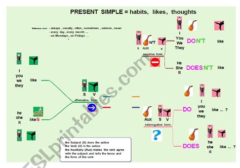 Image result for Present Simple Mind Map
