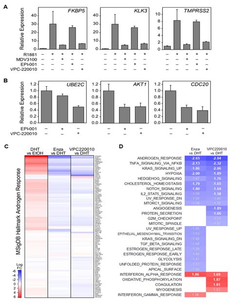Development of an Androgen Receptor Inhibitor Targeting the N-Terminal ...