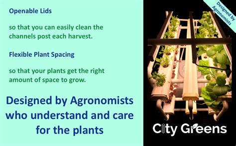 City Greens Indoor Hydroponic Kit – Grow 24 Leafy Greens at Home | NFT ...