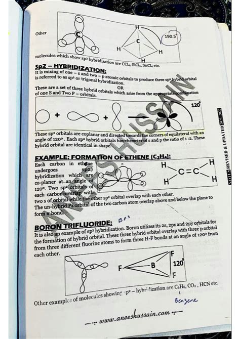 Image result for Hybridization Examples