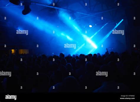 Concert Fans 的图像结果