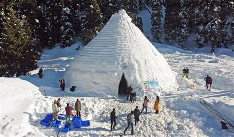 'World's largest igloo cafe' in India's Jammu and Kashmir attracts new ...