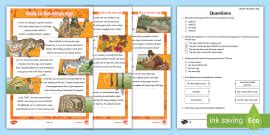 Stone Age Reading Comprehension PDF