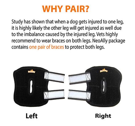 Dog Rear Leg Hock Braces [Short Version] with Metal Spring Strips (Pair ...