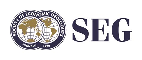 Image result for Seg Icon