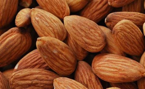 How Micronutrients Help You Build A Good Body