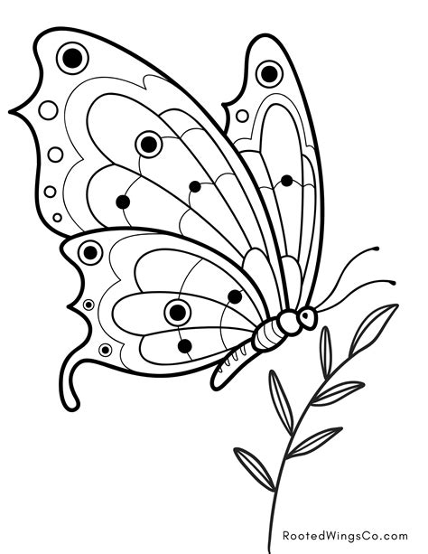 Free Butterfly Coloring Pages - For Kids or Adults