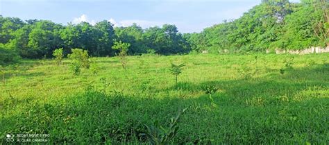 KAMALA URBAN FARM BIODIVERSITY CENTRE PRIVATE LIMITED