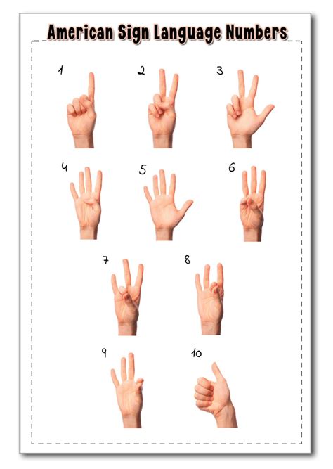 Image result for American Sign Language Alphabet Numbers