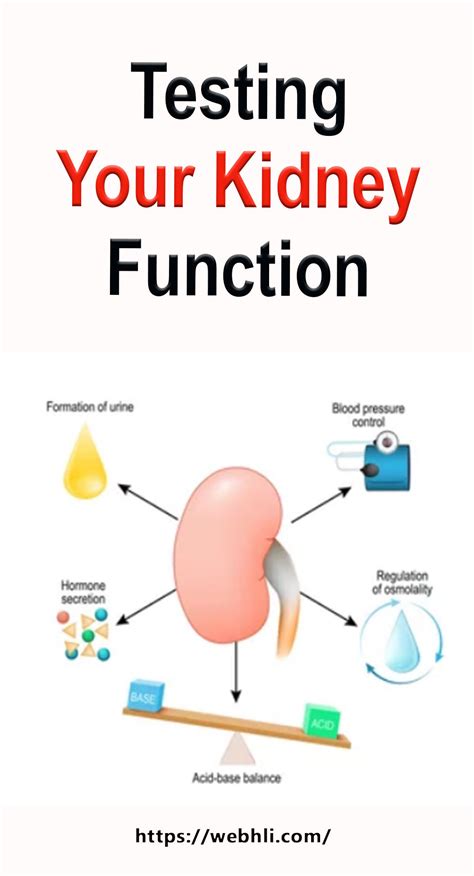 Kidney Function 的图像结果