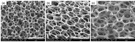 Investigation on Mechanical Behavior of Biodegradable Iron Foams under ...