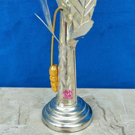 German Silver Tree, Banana Tree Height - 6 Inches (Pack of 2 Pcs) – Ashtok