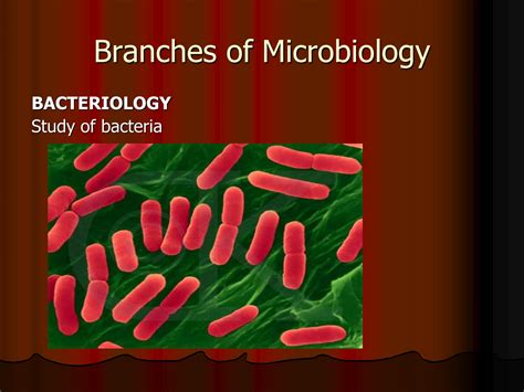 SOLUTION: Branches of microbiology - Studypool