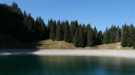 Computer Wallpaper Backgrounds 的图像结果