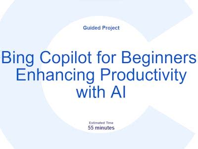 Bing Pilot 的图像结果