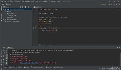 PyCharm Debug 的图像结果