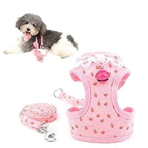 Lace Trim Collar Bell Girls Small Dog Vest Harness and Leash Set for ...
