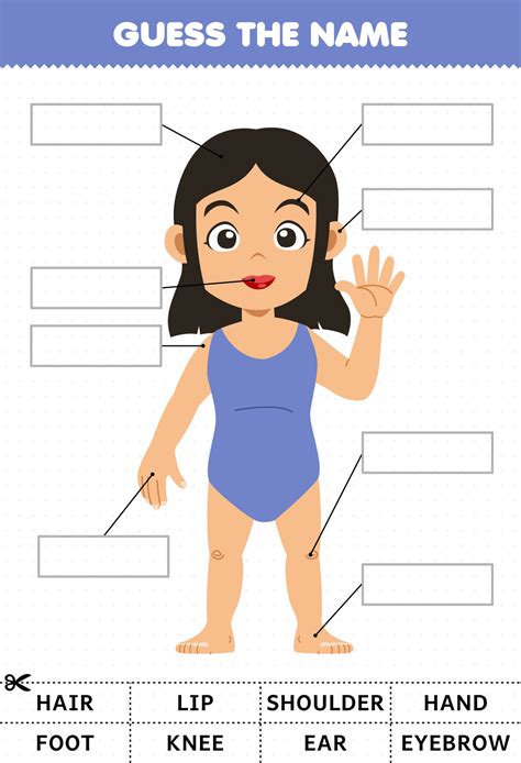 Baby Girl Body Parts Name at Judy Dittman blog