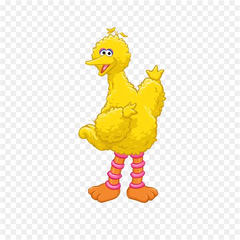 Free Big Bird Transparent, Download Free Big Bird Transparent png ...