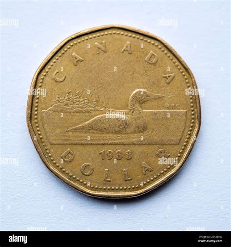 Canadian 1 Dollar Coin