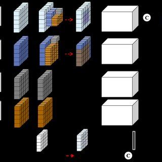 Convolutional Network Architecture 的图像结果