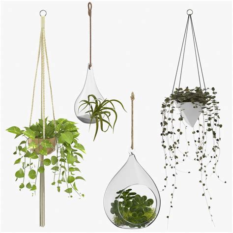 Hanging Plants 3D Models download - Free3D