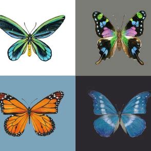 Butterfly Tutorials Angela Anderson 的图像结果