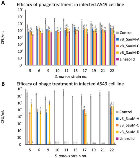 Efficacy of Three Kayviruses Against Staphylococcus aureus Strains ...