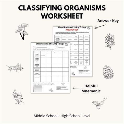 Image result for Classification Living Things Worksheet