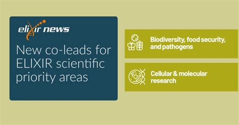 Elixir Governance 的图像结果