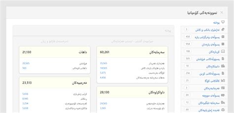 Image result for Manager Accounting Program Tutorial