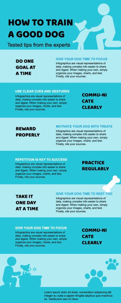 Image result for Infographic Video Examples