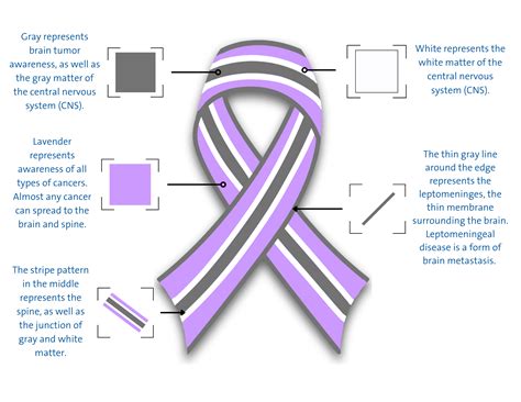 Spinal Cord Cancer Life Expectancy