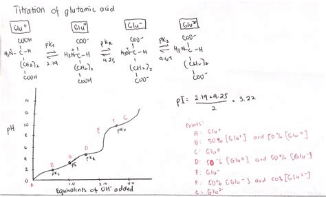 Drawing Titration Curves