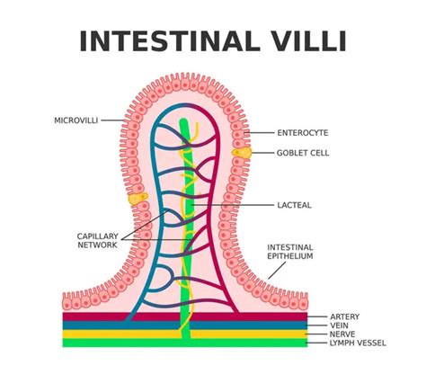 Image result for Visual Spatial Examples