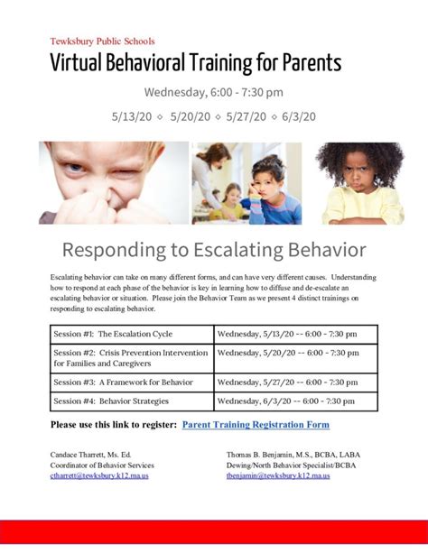 Image result for Virtual Parent Training
