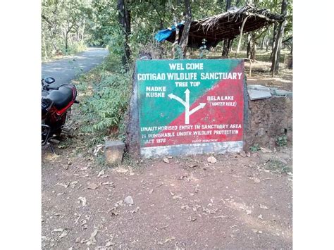 Inside Cotigao Wildlife Sanctuary: Goa’s well-kept secret!, Goa - Times ...