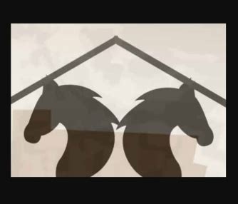 Equestrian Club | CEPT - Portfolio