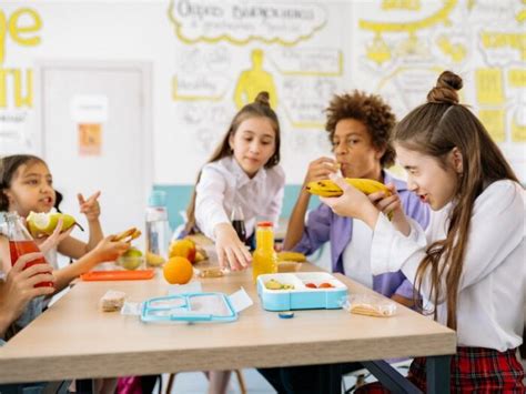 Image result for Zero Waste France