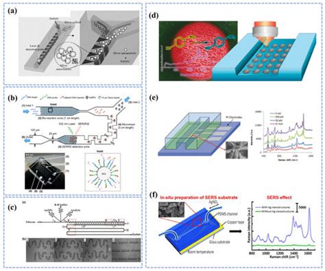 Progress of Microfluidics Combined with SERS Technology in the Trace ...