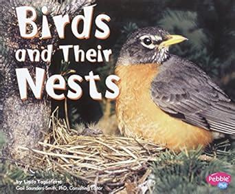 Birds and Their Nests (Animal Homes) : Tagliaferro, L.: Amazon.in: Books