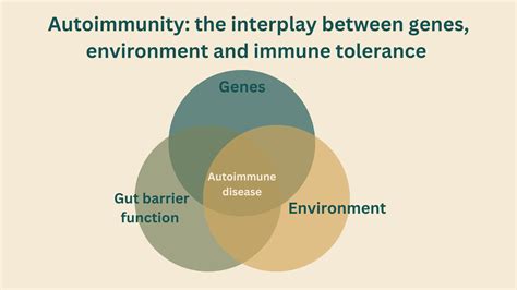 Autoimmunity 的图像结果