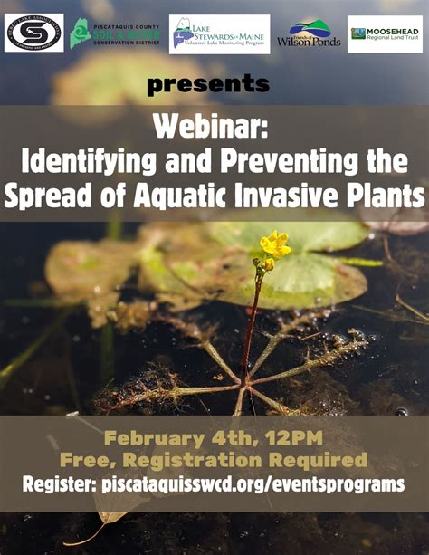Webinar: Identifying and Preventing the Spread of Aquatic Invasive ...