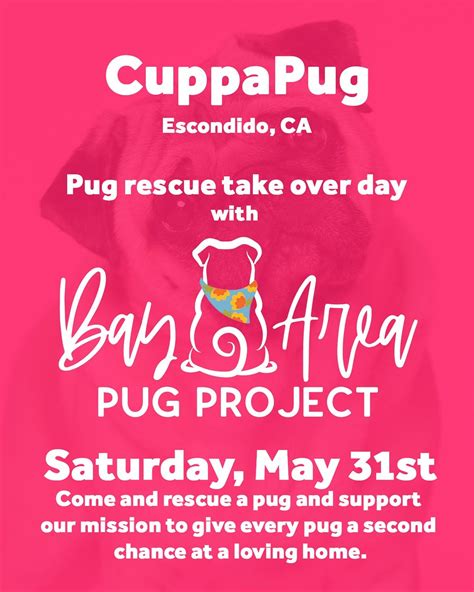Rescue pug adoptions @ CuppaPug Escondido (San Diego), 607 W 9th Ave ...
