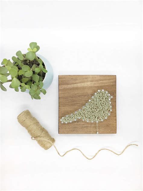 Buy Timber+Vine Designs 6x6 Inch DIY Bird String Art Kit, Kids Craft ...