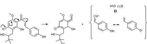 Image result for Fragmentation Pathways