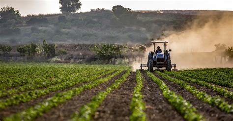 Farm Size and Productivity Debate in Indian Agriculture | Economic and ...