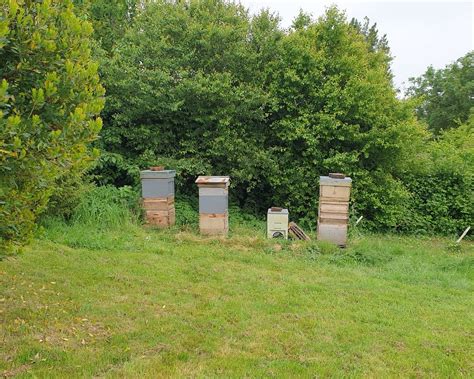 THE 10 BEST Places to Visit in Lancing (2026) - Must-See Attractions